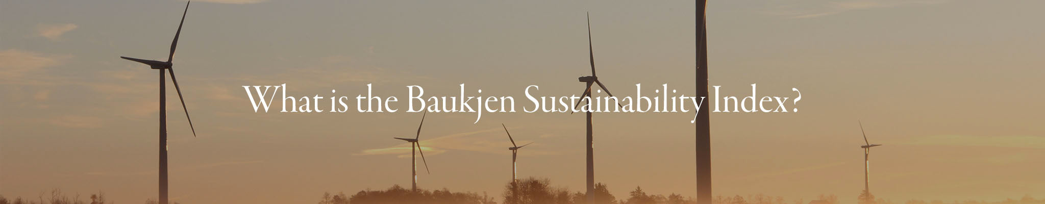 What is the Baukjen Sustainability Index?