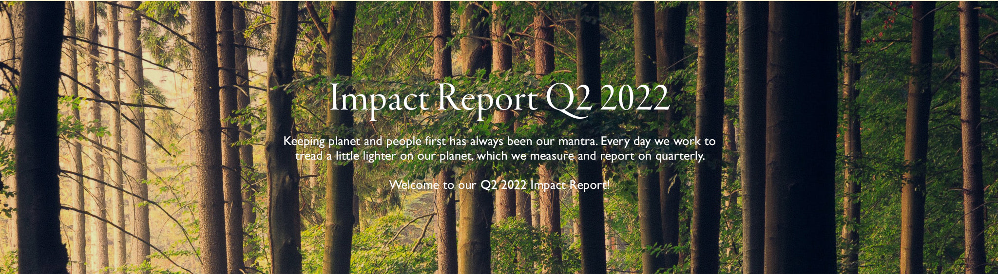 Impact Report Q3 2021